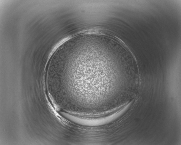 X0000085811434200703301513