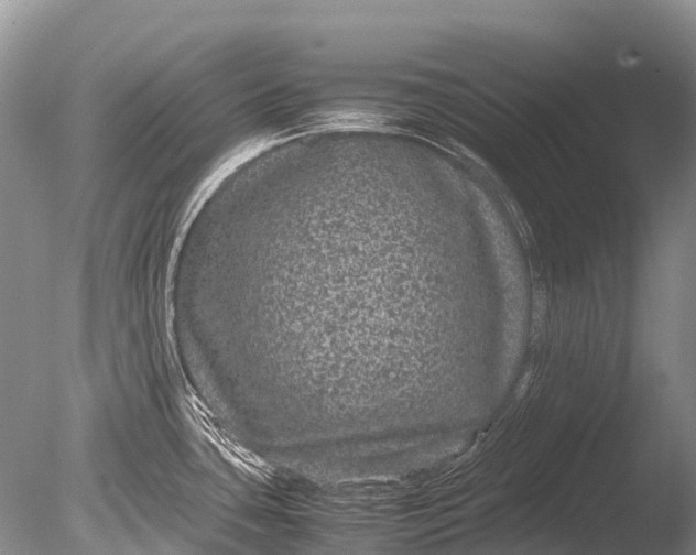 X0000085811435200703301513