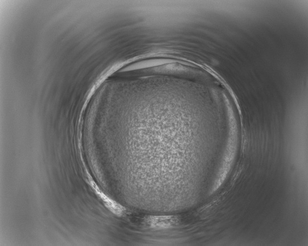 X0000085811437200703301513