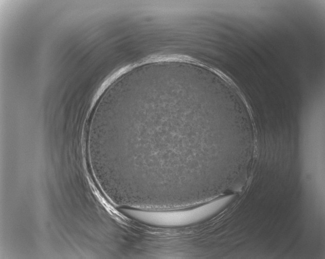 X0000085811438200703301513