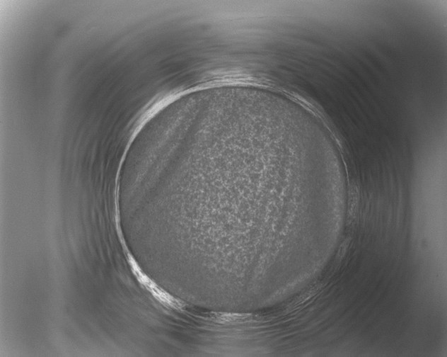 X0000085811439200703301513