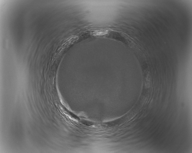 X0000085811441200703301512