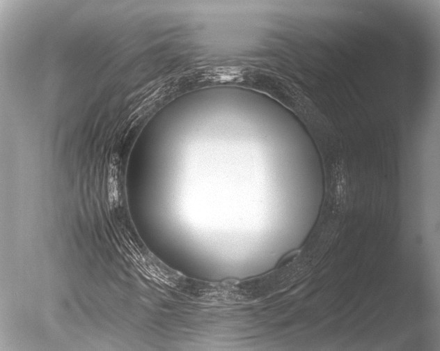 X0000085811442200703301512