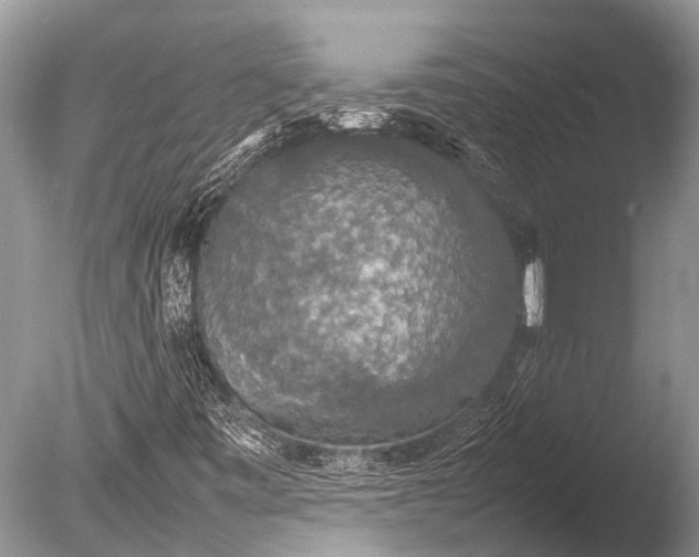 X0000085811443200703301512