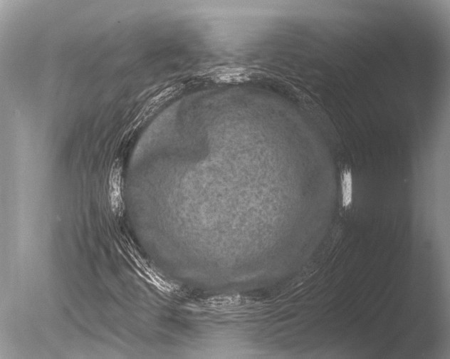 X0000085811444200703301512