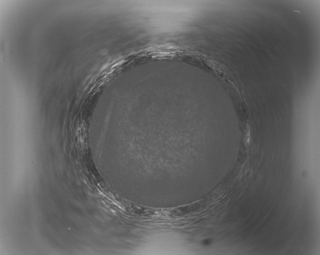 X0000085811445200703301512