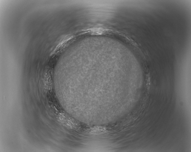 X0000085811446200703301512