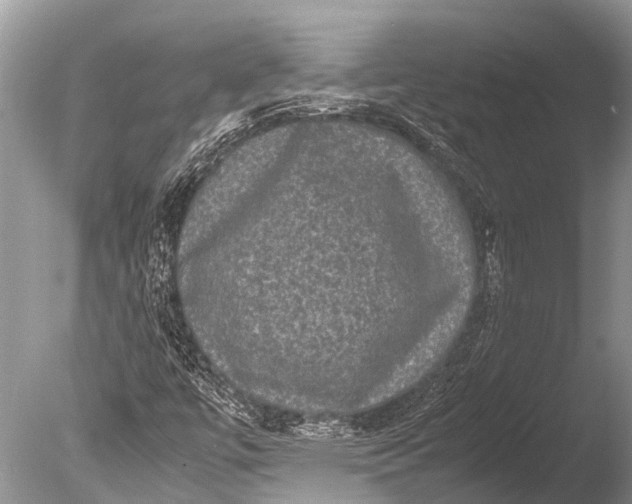 X0000085811447200703301512