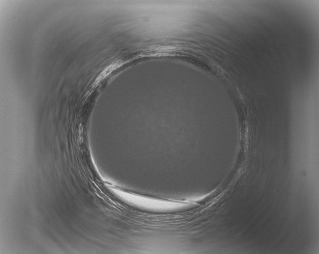 X0000085811449200703301512