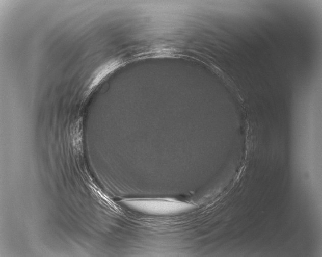 X0000085811450200703301512