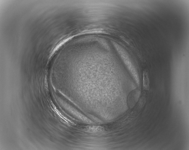 X0000085811452200703301512