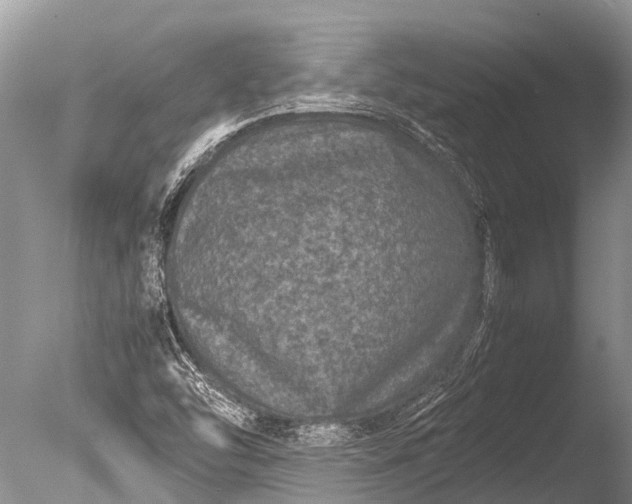 X0000085811454200703301512