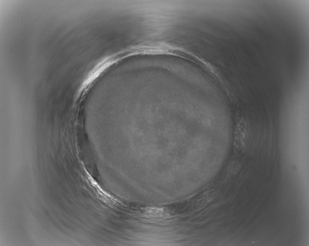 X0000085811456200703301512