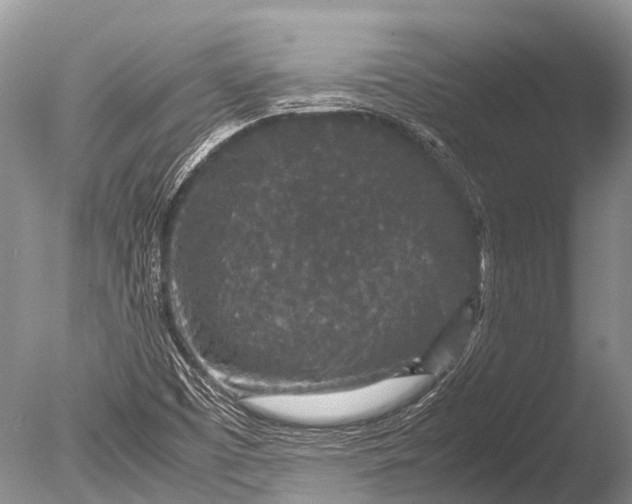 X0000085811457200703301512