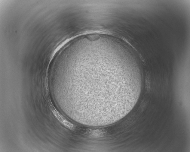 X0000085811460200703301512