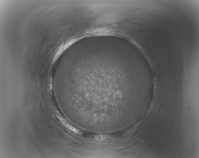 X0000085811461200703301512