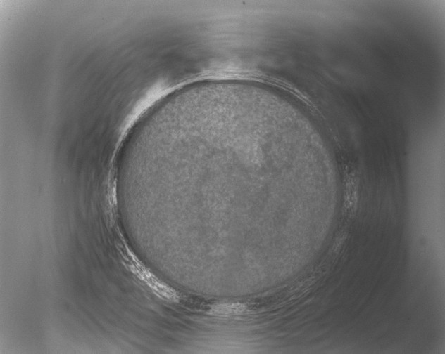 X0000085811462200703301512