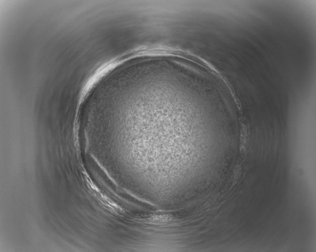 X0000085811464200703301512