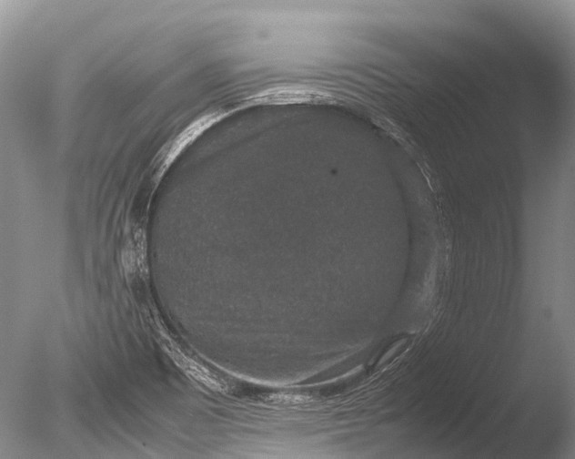 X0000085811465200703301512