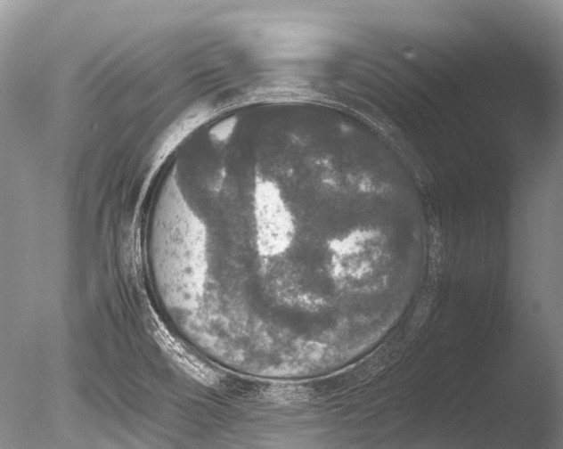 X0000085811466200703301512