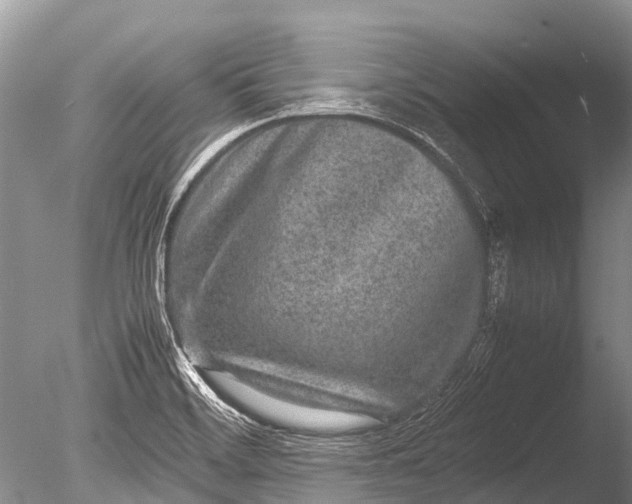 X0000085811468200703301512