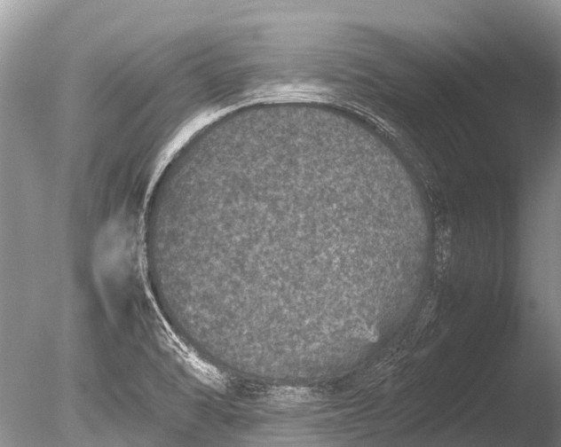 X0000085811470200703301512