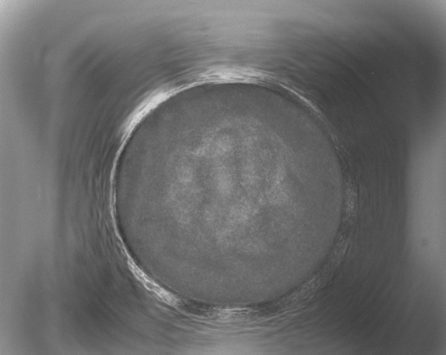 X0000085811471200703301512