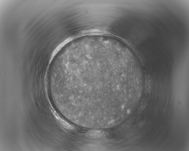 X0000085811474200703301512