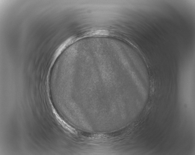 X0000085811475200703301512