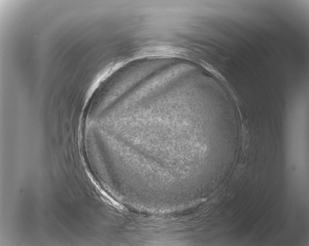 X0000085811477200703301512