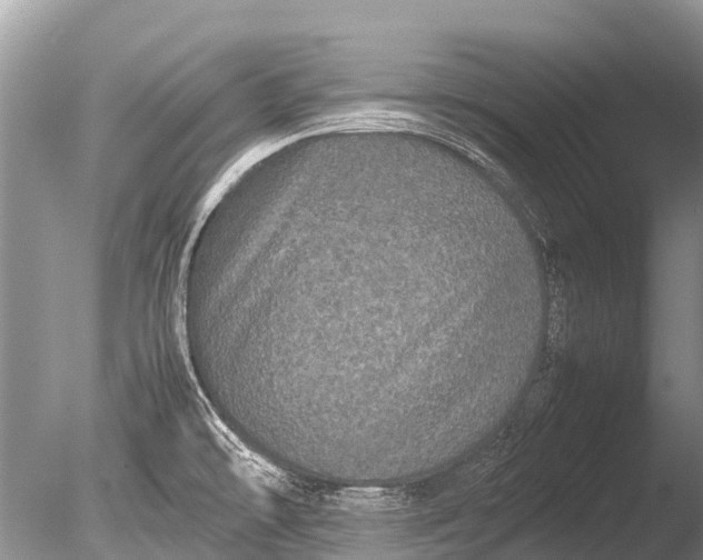 X0000085811478200703301511