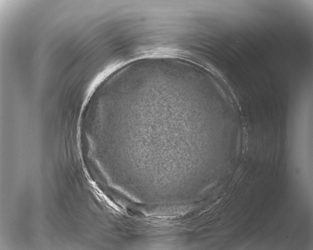 X0000085811480200703301511