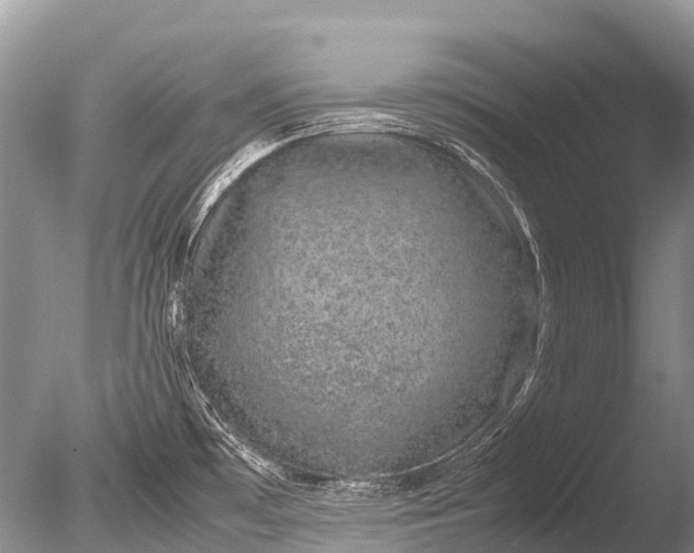 X0000085811481200703301511