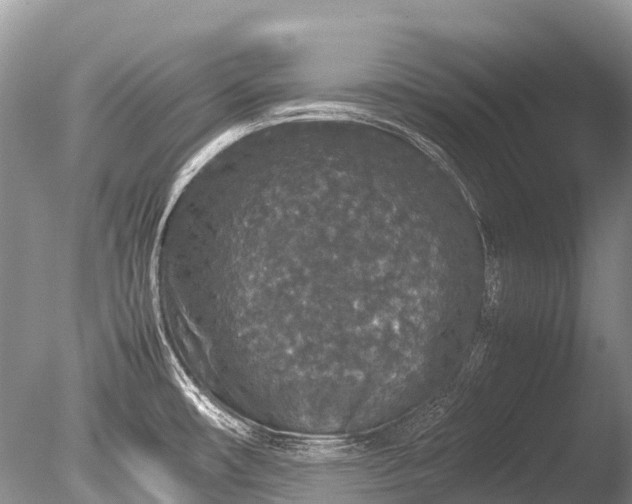 X0000085811482200703301511