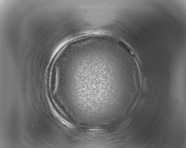 X0000085811483200703301511