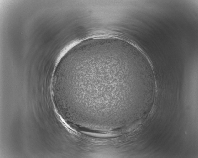 X0000085811485200703301511