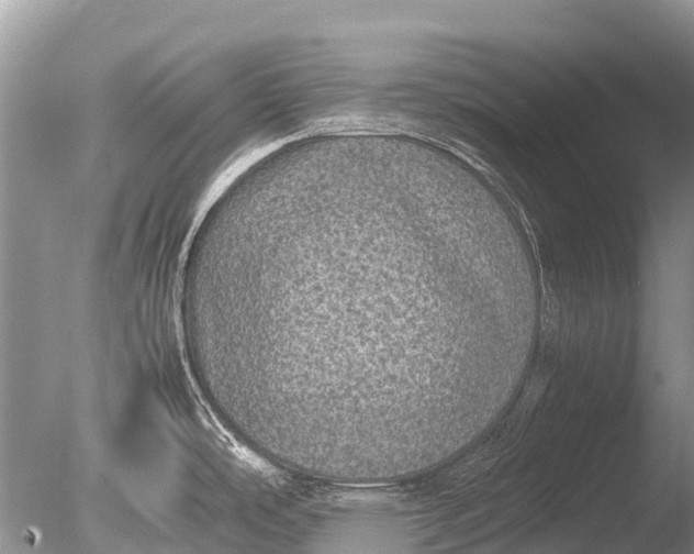 X0000085811486200703301511