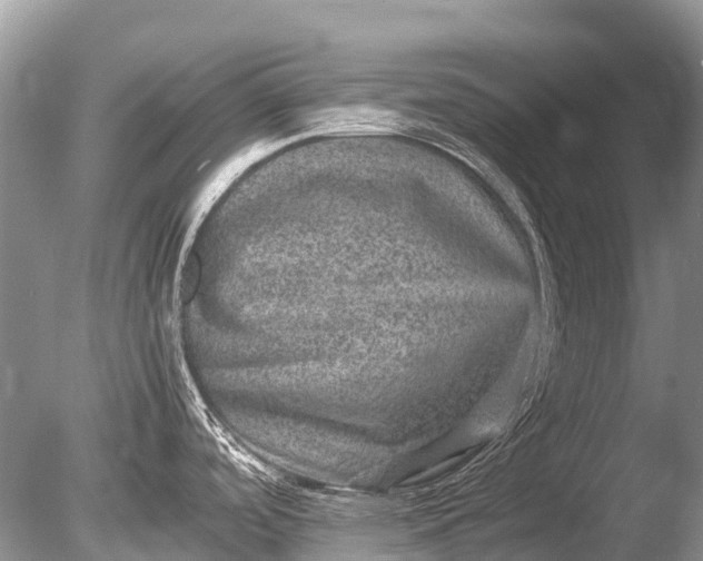 X0000085811488200703301511