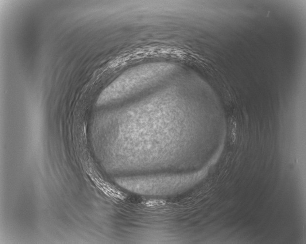 X0000085811489200703301510