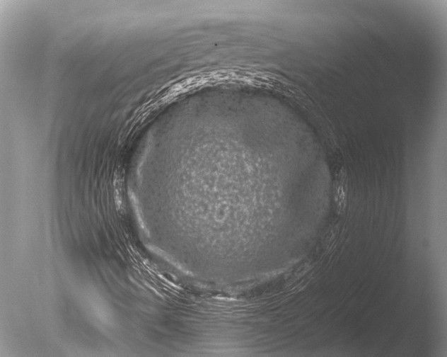 X0000085811490200703301511