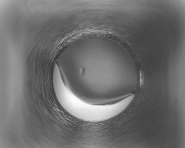 X0000085811492200703301511