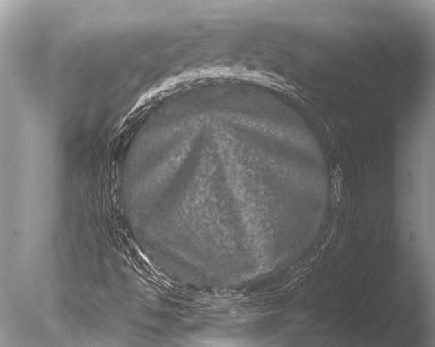 X0000085811494200703301511