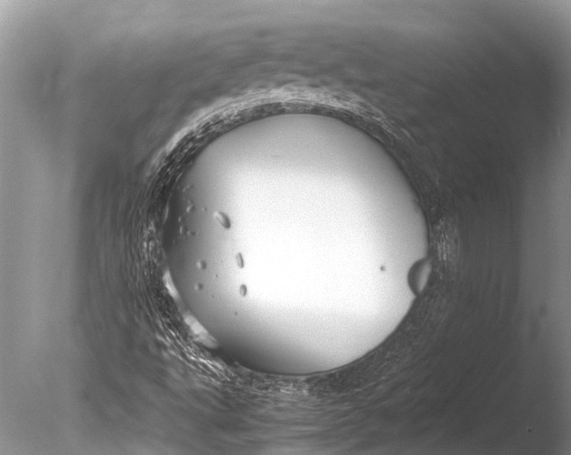 X0000085811495200703301511