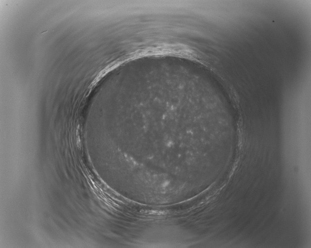 X0000085811497200703301511