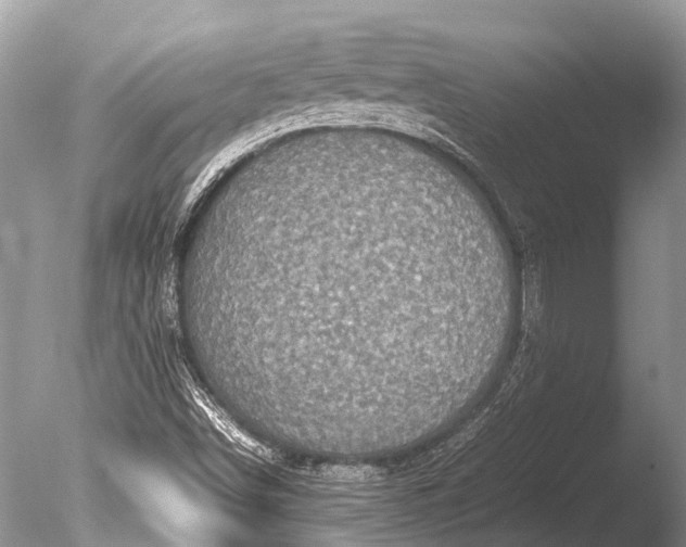 X0000085811498200703301511