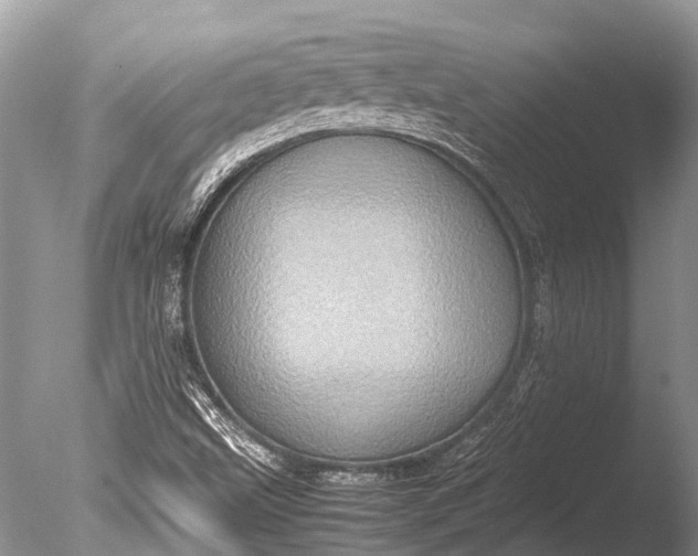 X0000085811499200703301511