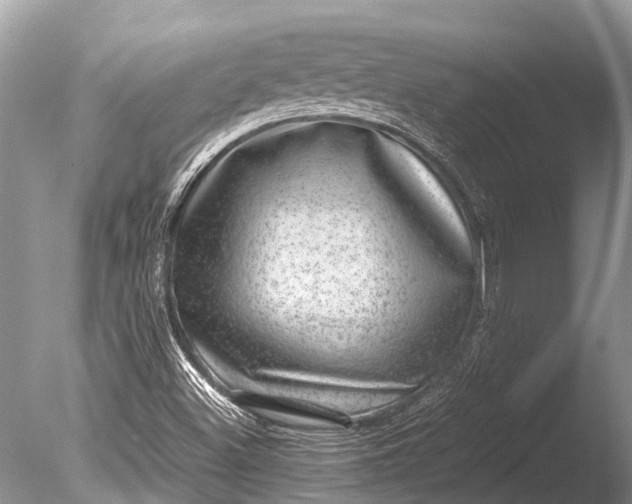 X0000085811500200703301511