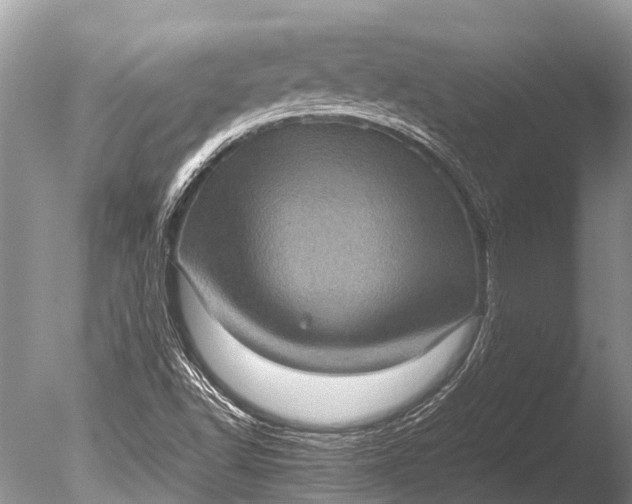 X0000085811502200703301511