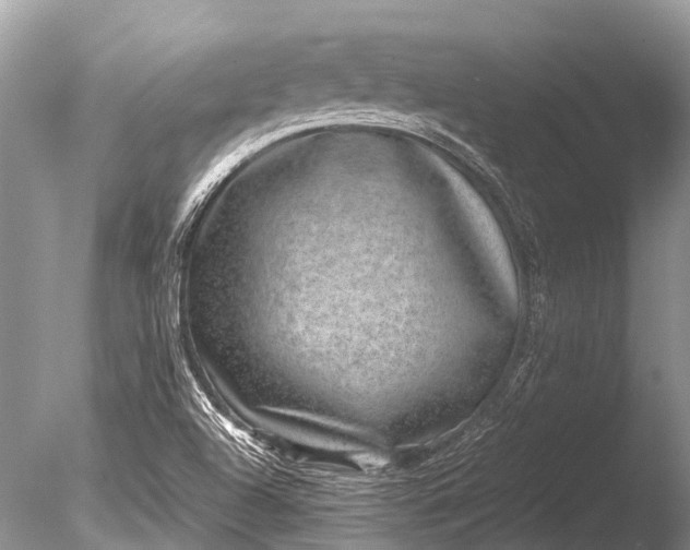 X0000085811504200703301511