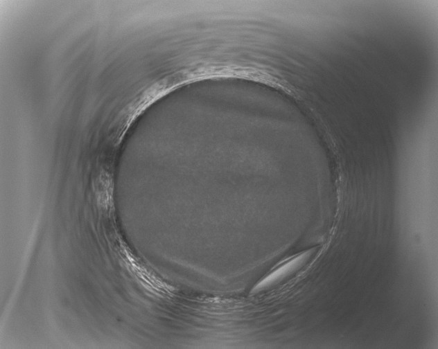 X0000085811505200703301511